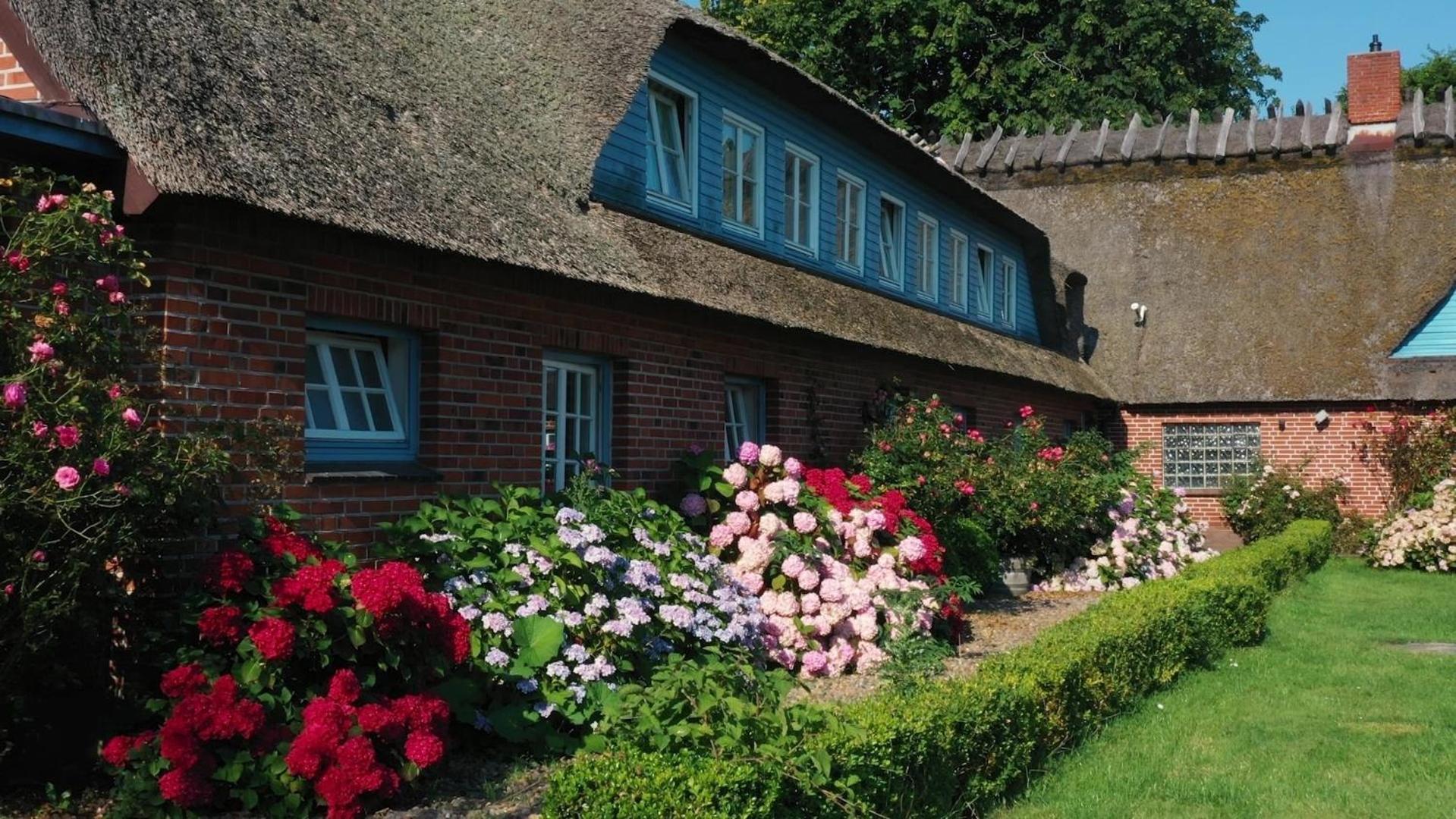 Strandhaus Falshoeft 3 Nieby  ภายนอก รูปภาพ